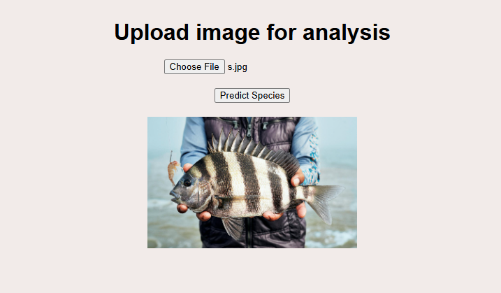 Fish Recognition Model