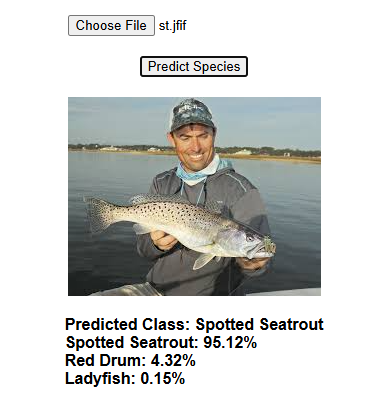 Trout